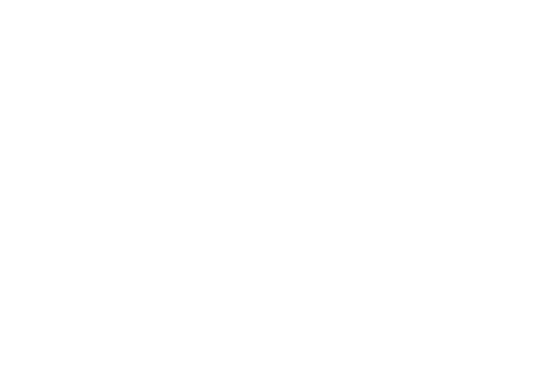 almzon import and export